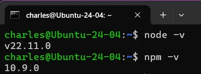 在 Linux 以 node -v 與 npm -v 確認版本